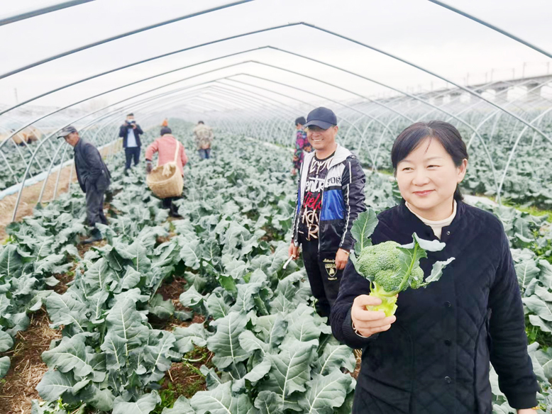 我县不断拓宽增收渠道